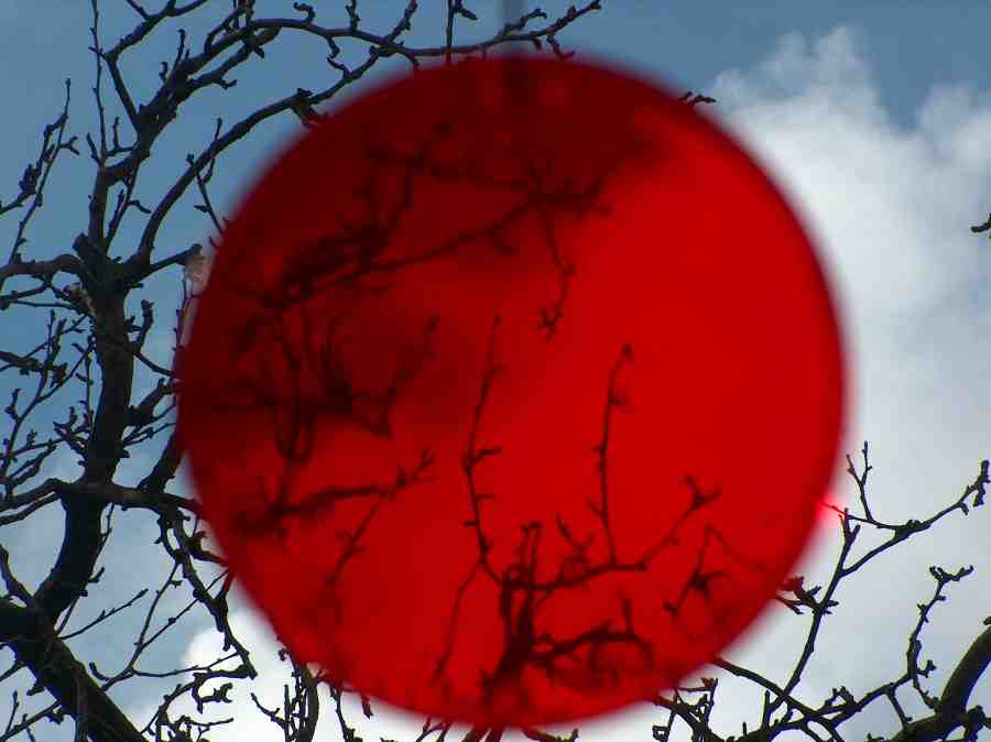 Japanische Flagge und Hymne